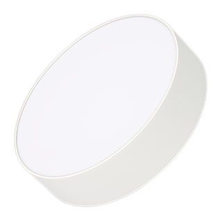 Светильник IM-RONDO-EMERGENCY-3H-R210-20W Day4000 (WH, 120 deg, 230V) (Arlight, IP40 Металл, 2 года)
