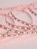 d_DL-06-0153.jpg