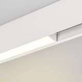 b_DL-12600-0307.jpg