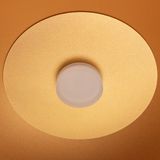 b_DL-12400-0498.jpg