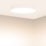 d_DL-12400-0200.jpg