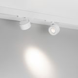 a_DL-12600-0562.jpg