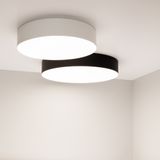 b_DL-12400-0195.jpg
