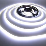 c_54282.jpg