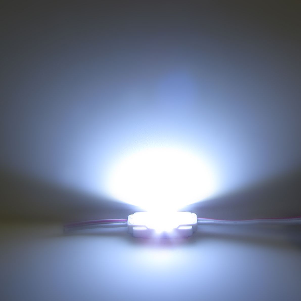b_54221.jpg