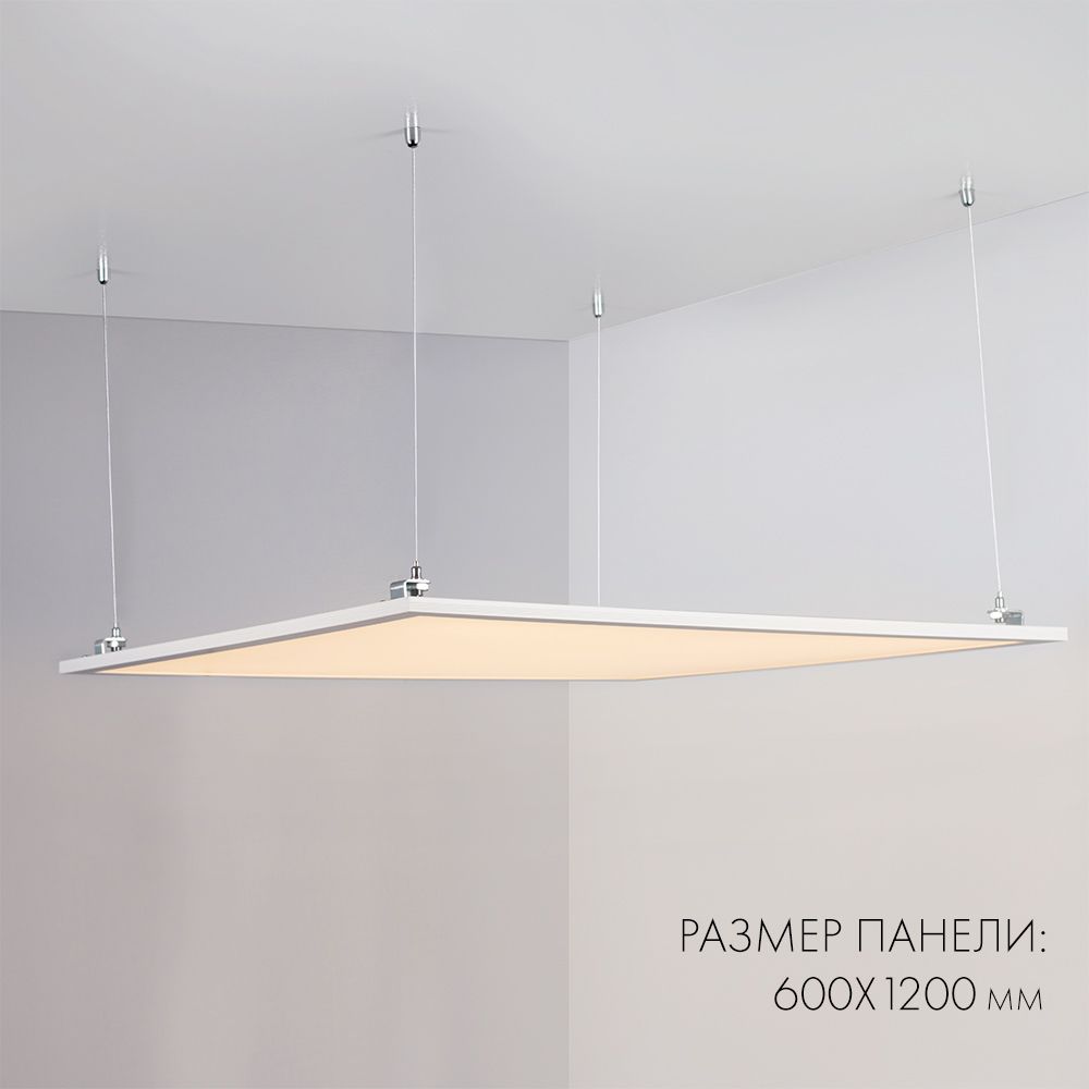 d_DL-04100-0040.jpg