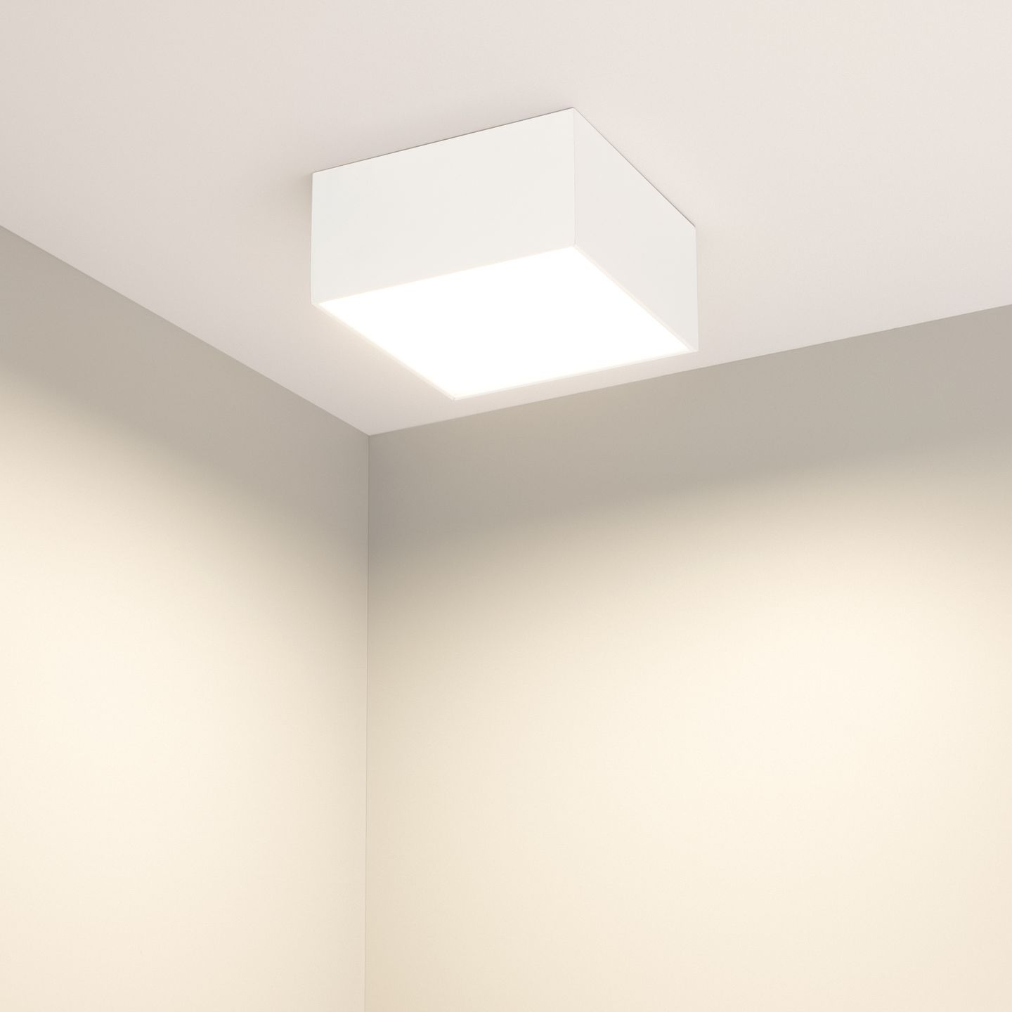 e_DL-12400-0469.jpg