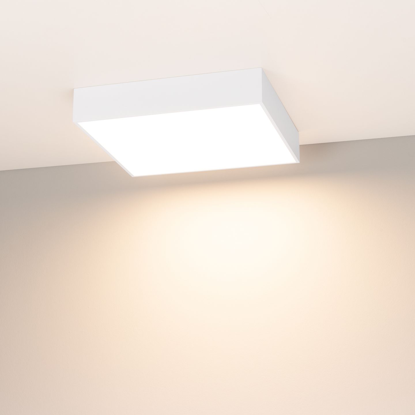 d_DL-12400-0483.jpg