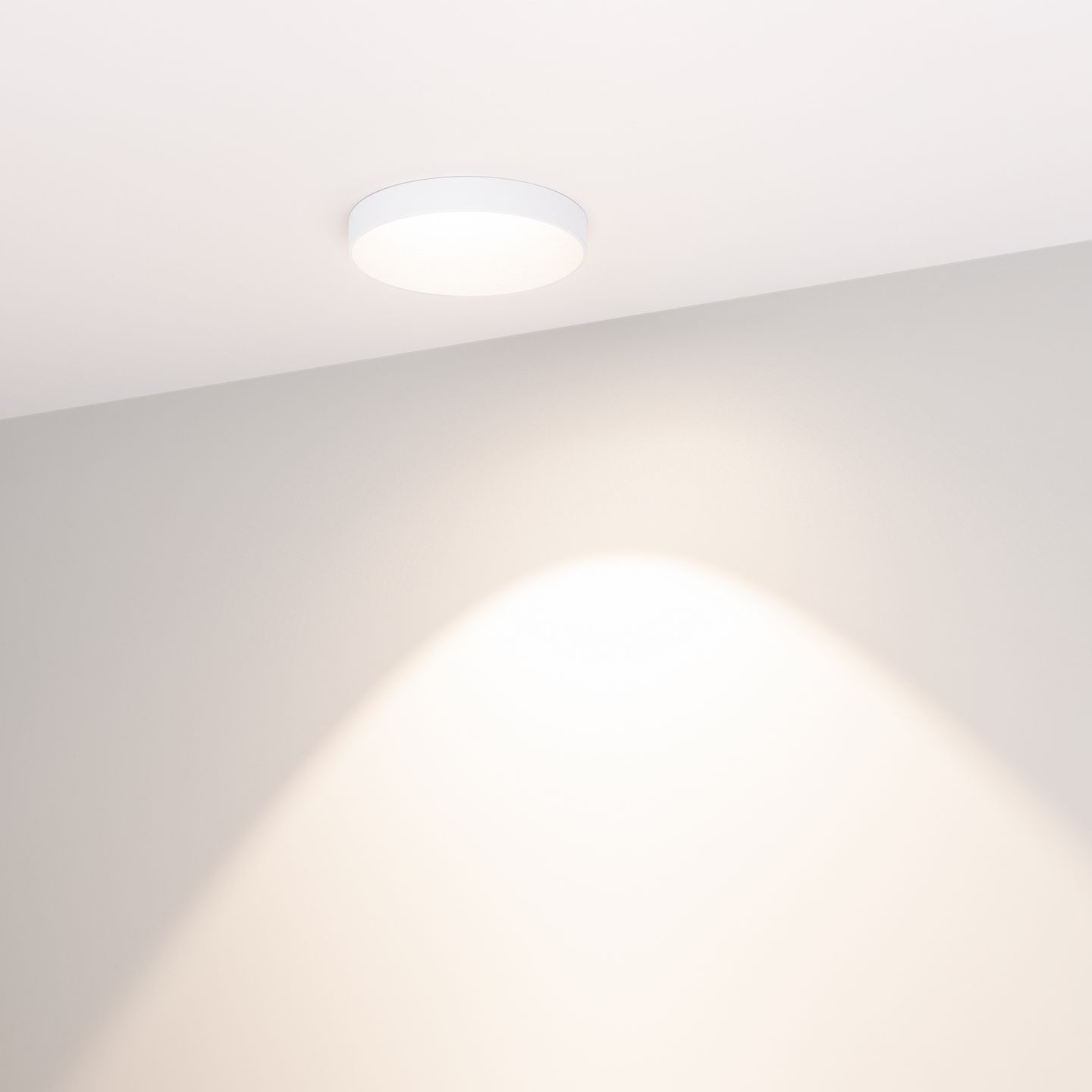 d_DL-04300-0283.jpg