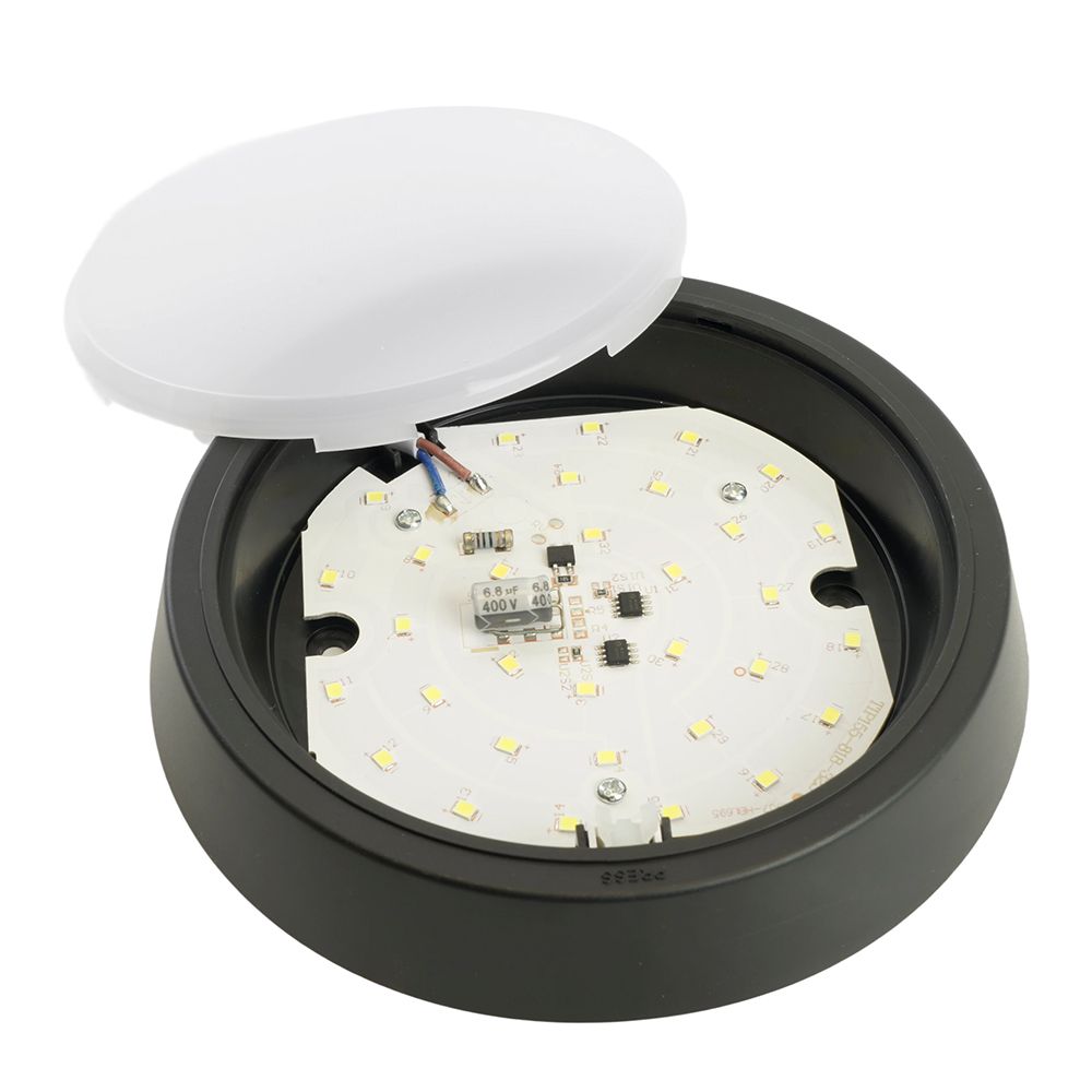 f_51473.jpg